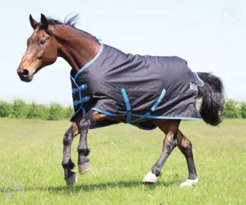 Bridleways Ontario Medium Turnout Black-Blue